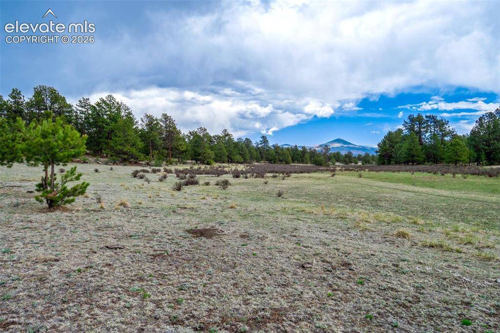 Tract 103 Doe Valley RD, Guffey, CO 80820