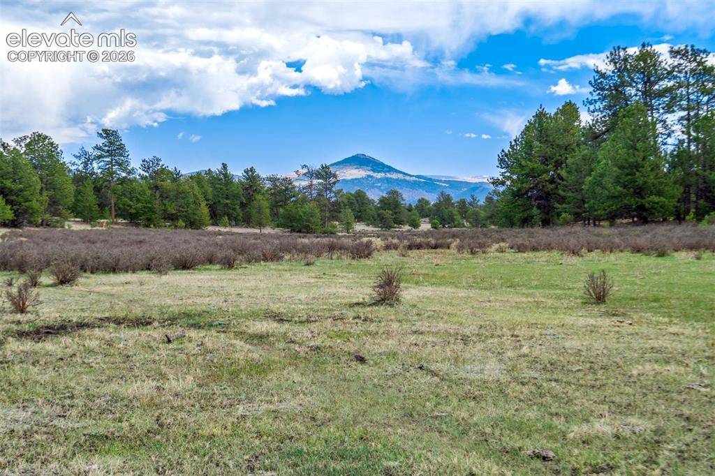 Tract 103 Doe Valley RD, Guffey, CO 80820