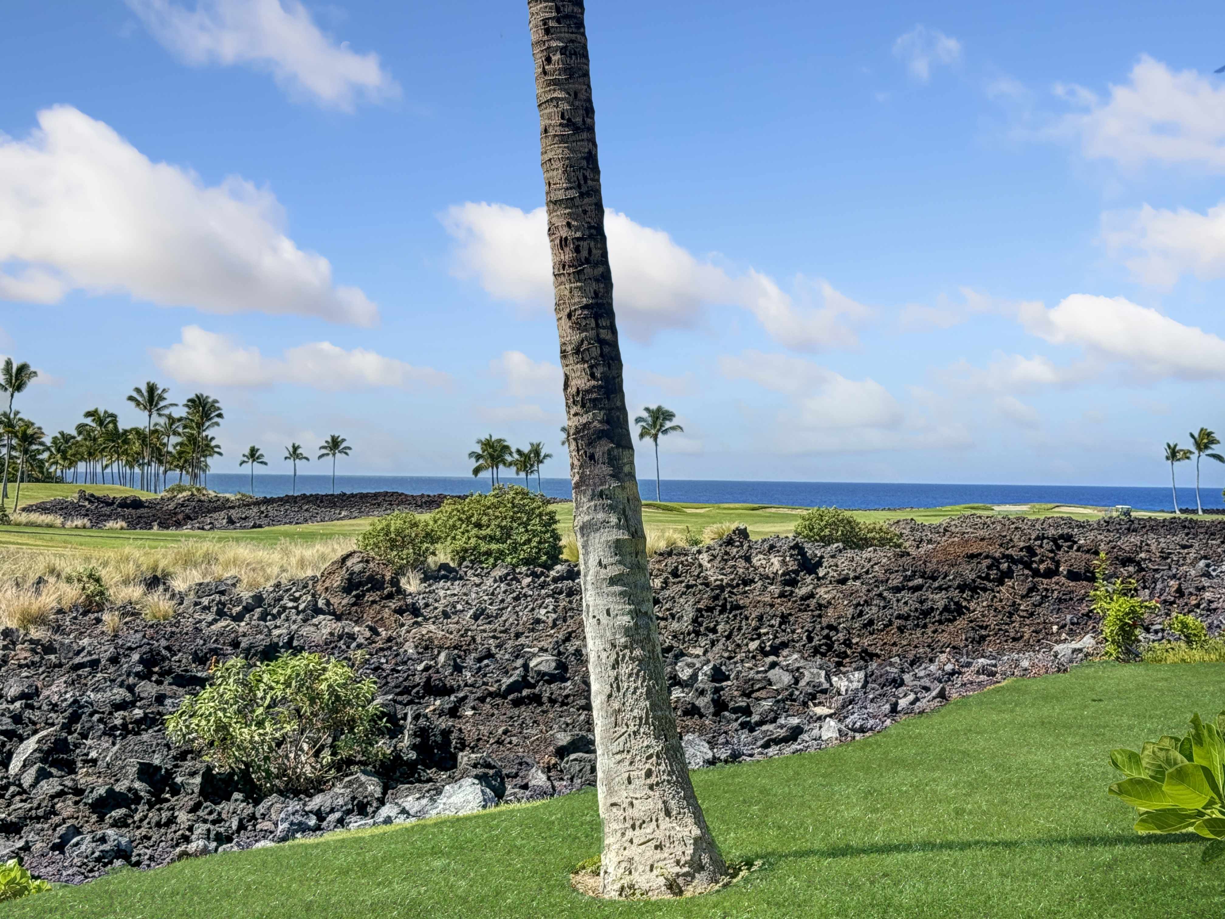 69-1033 NAWAHINE PL #9B, Waikoloa, HI 96738