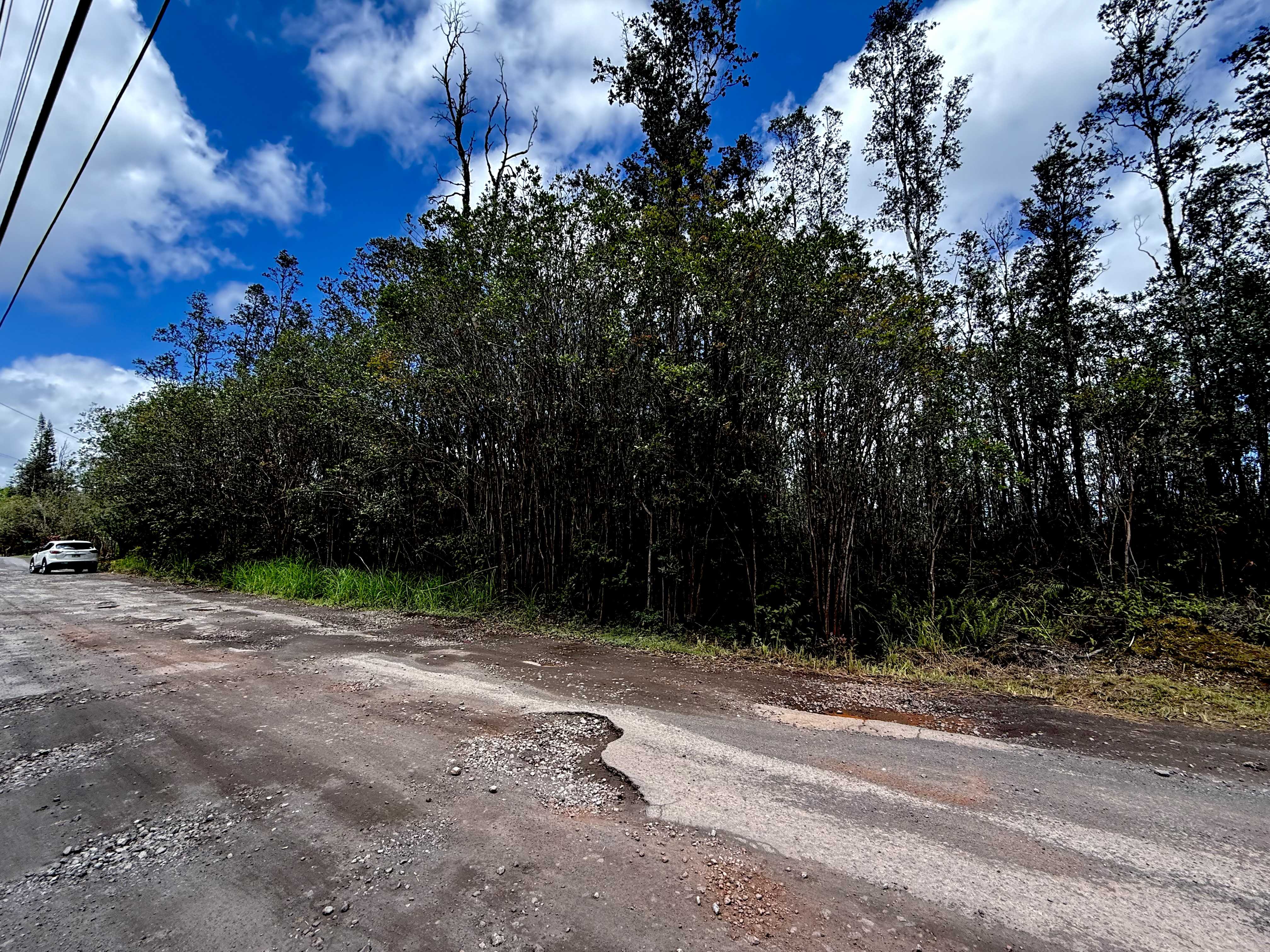 ROAD 1 (UHINI ANA), Mountain View, HI 96771
