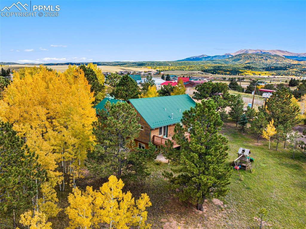 162 Ridge Top DR, Divide, CO 80814