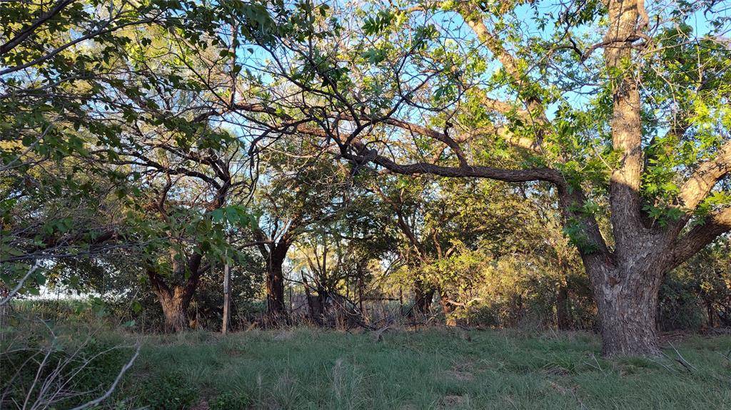 5428 CR 364, Anson, TX 79501