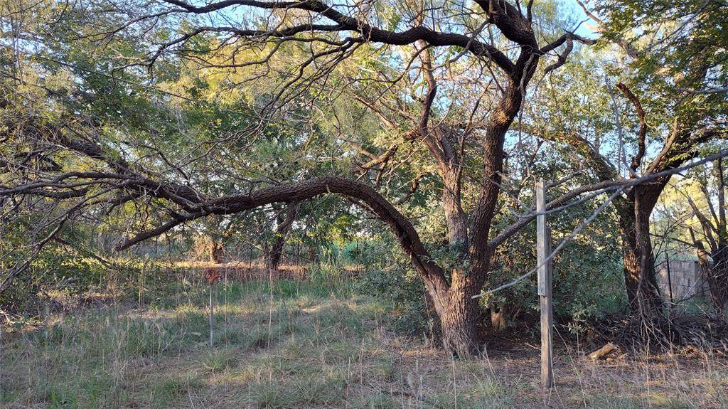 5428 CR 364, Anson, TX 79501