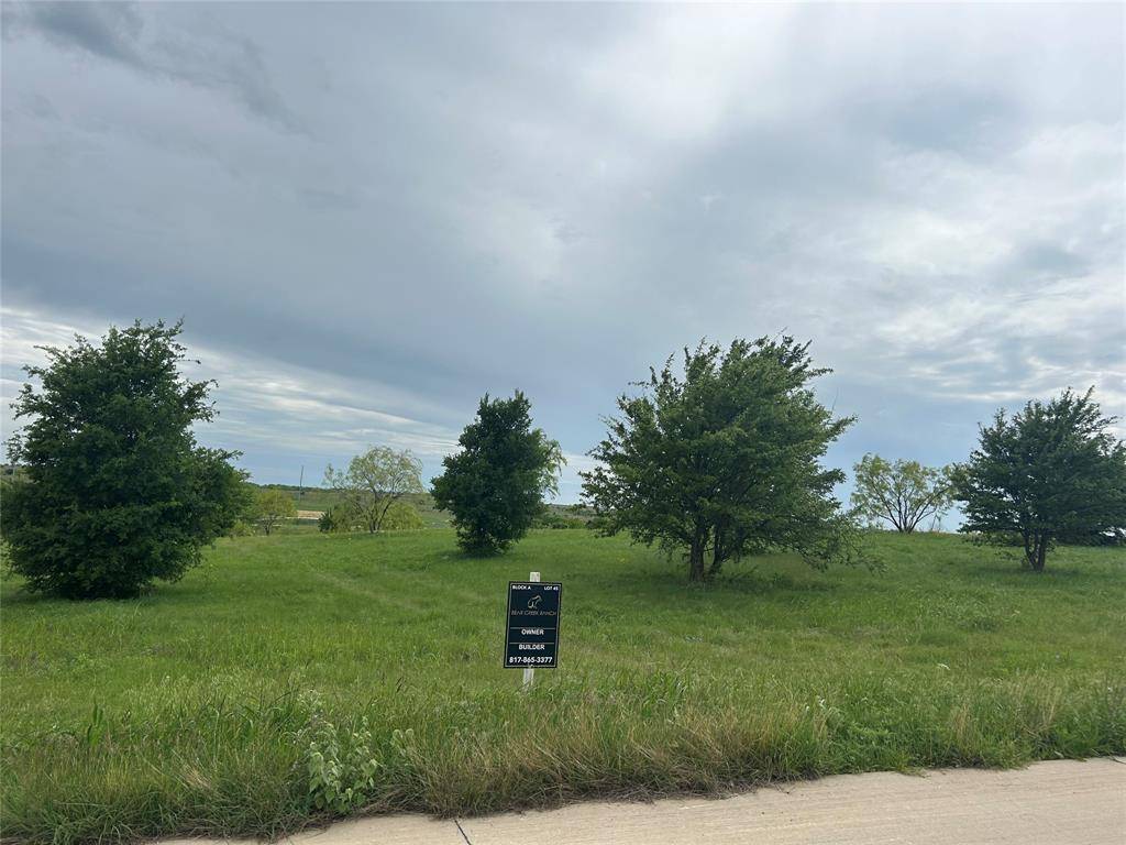 2040 Hidden Bluff Drive, Aledo, TX 76008