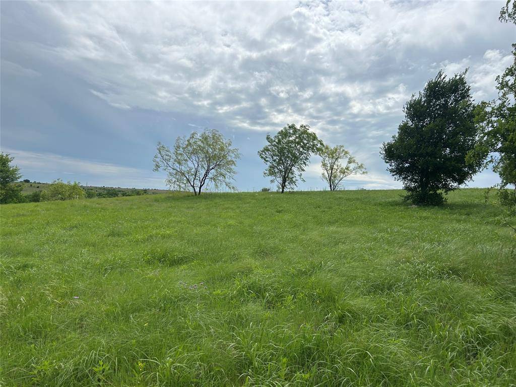 2040 Hidden Bluff Drive, Aledo, TX 76008