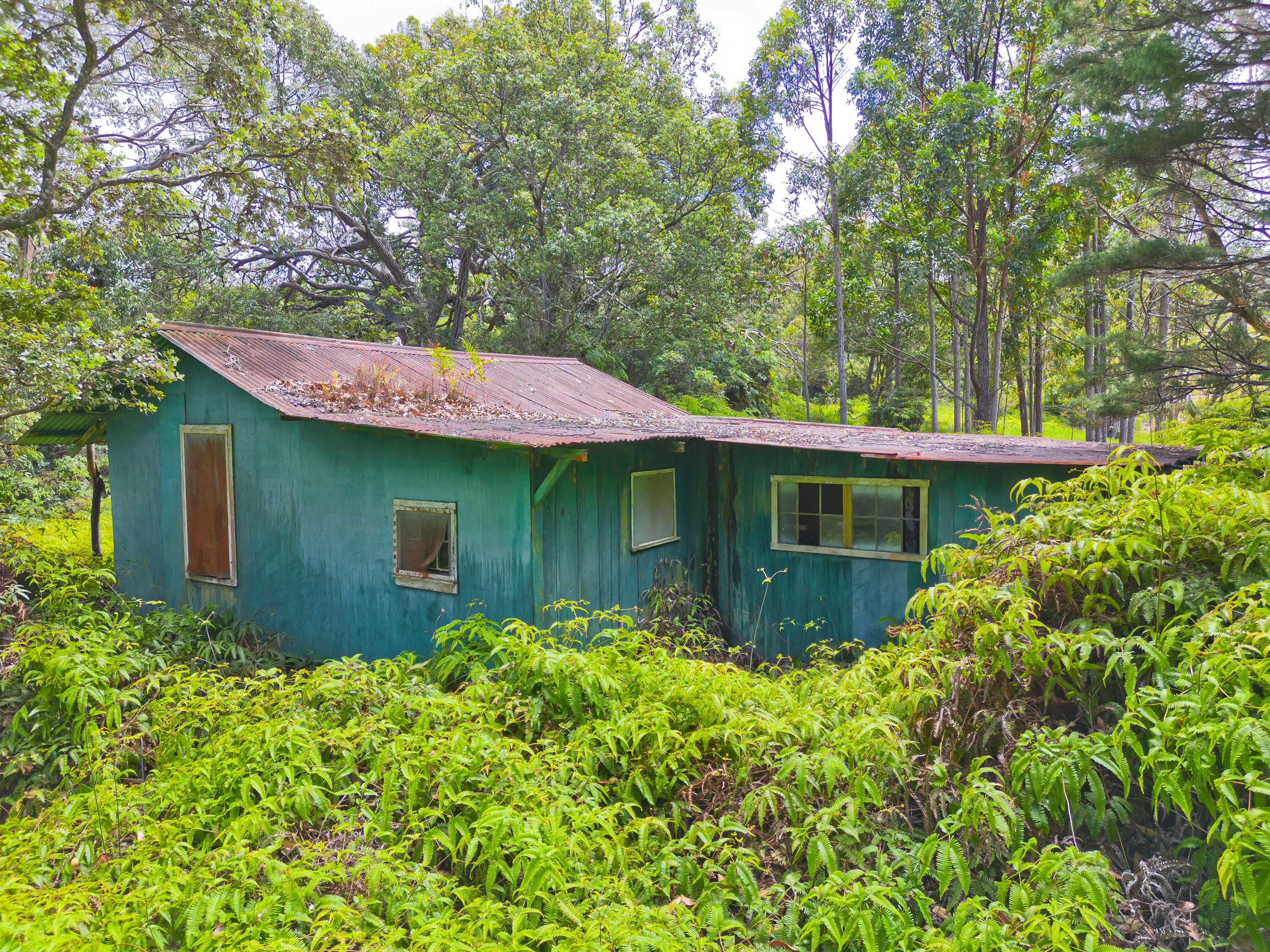 Ookala, HI 96774