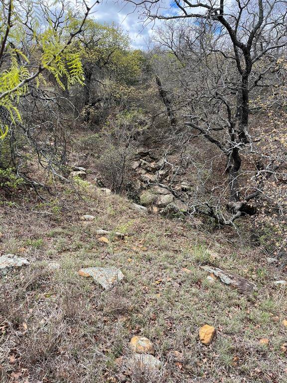 West 17 ac Burwick Road, Jacksboro, TX 76458