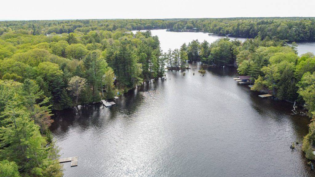 216 Smooth Rock RD, Georgian Bay, ON L0K 1S0
