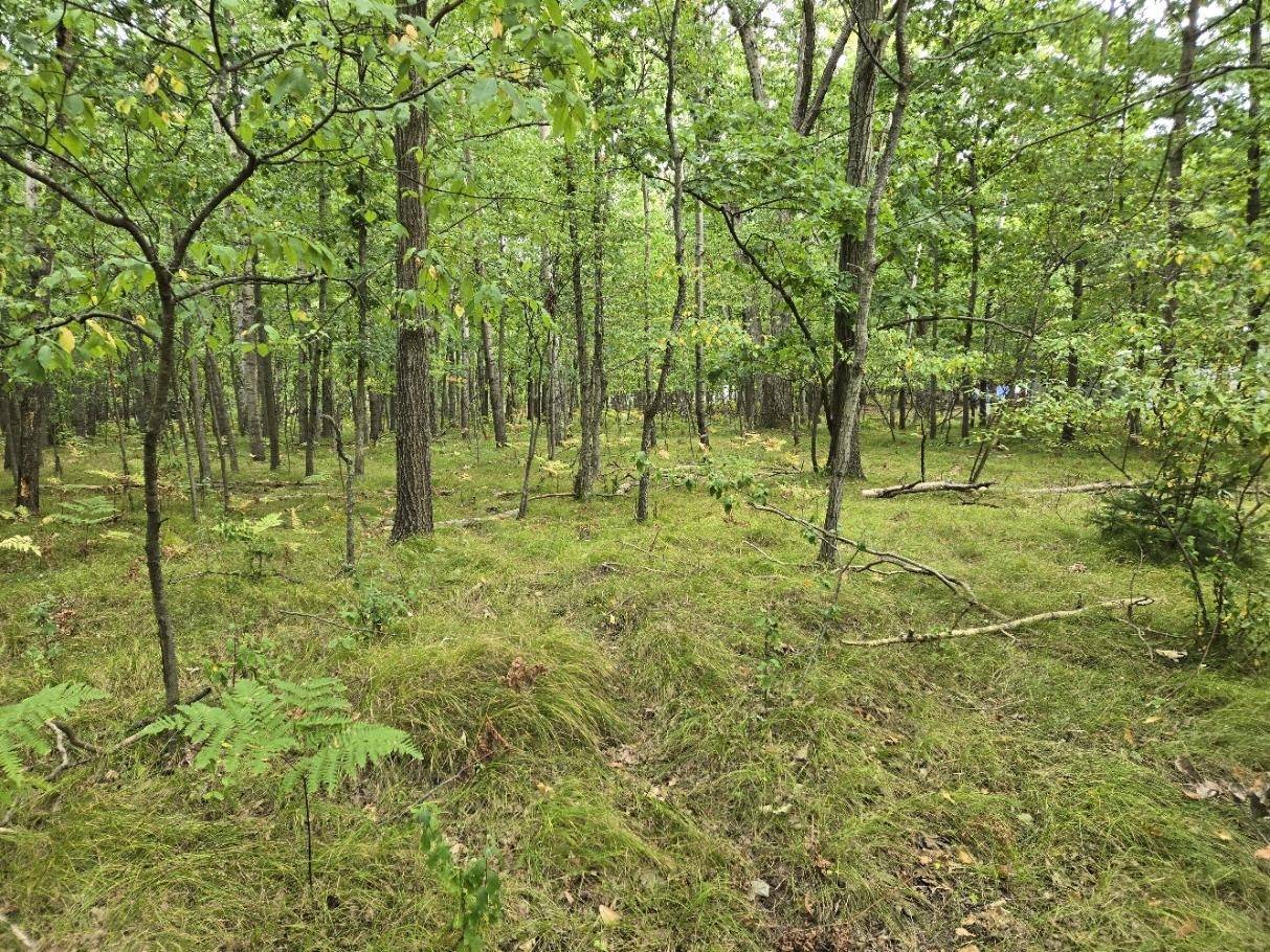 1009 Castle DR, Lake Isabella, MI 48893