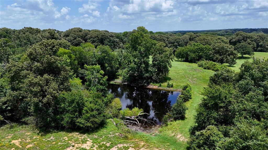TBD CR 4613, Athens, TX 75751