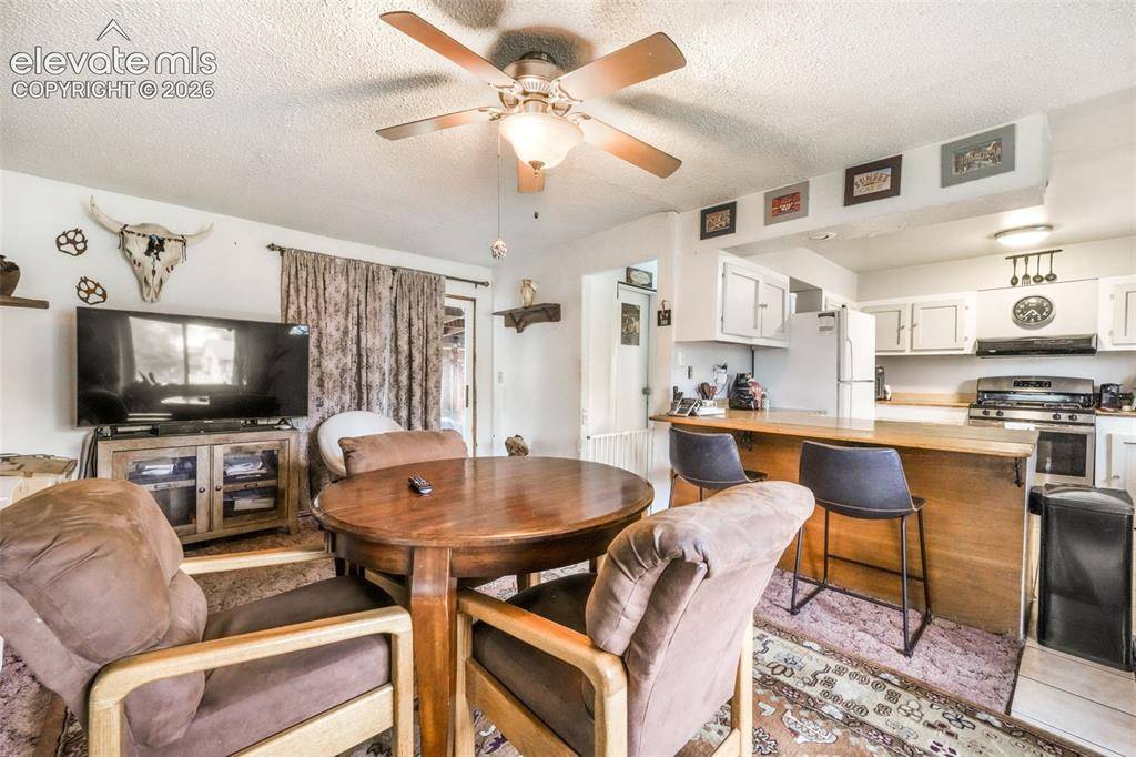 127 3rd ST, Monument, CO 80132