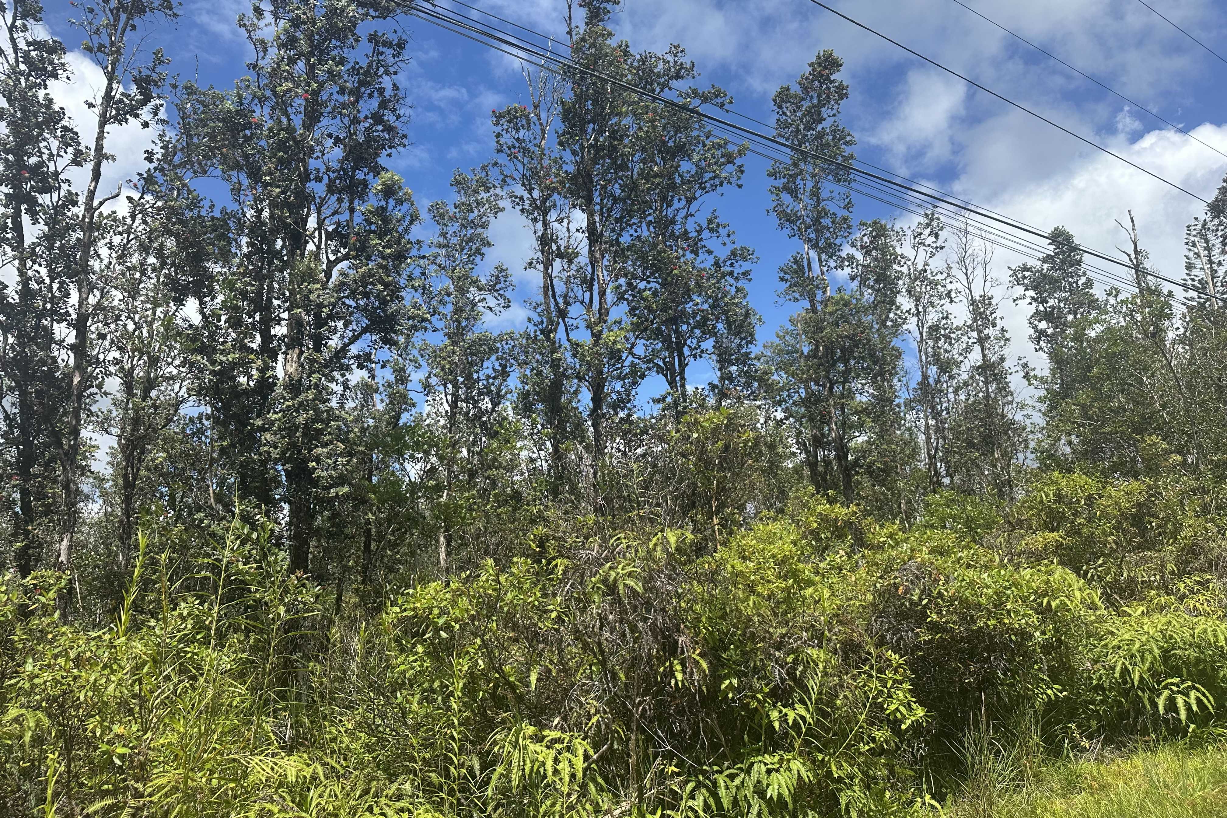 ROAD 9 (KOLOA MAOLI), Kurtistown, HI 96760