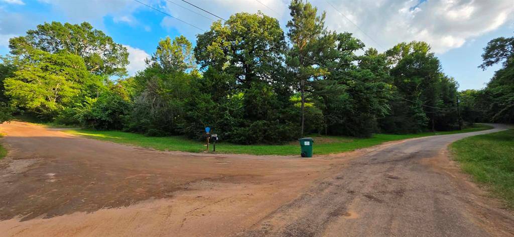 180 An County Road 2227, Tennessee Colony, TX 75861