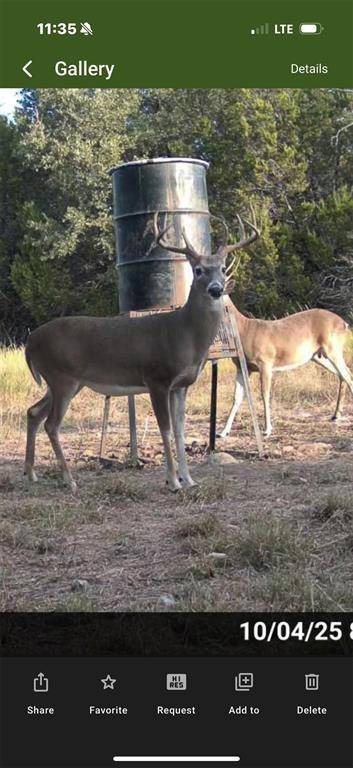 5106 Fm 51, Glen Rose, TX 76043
