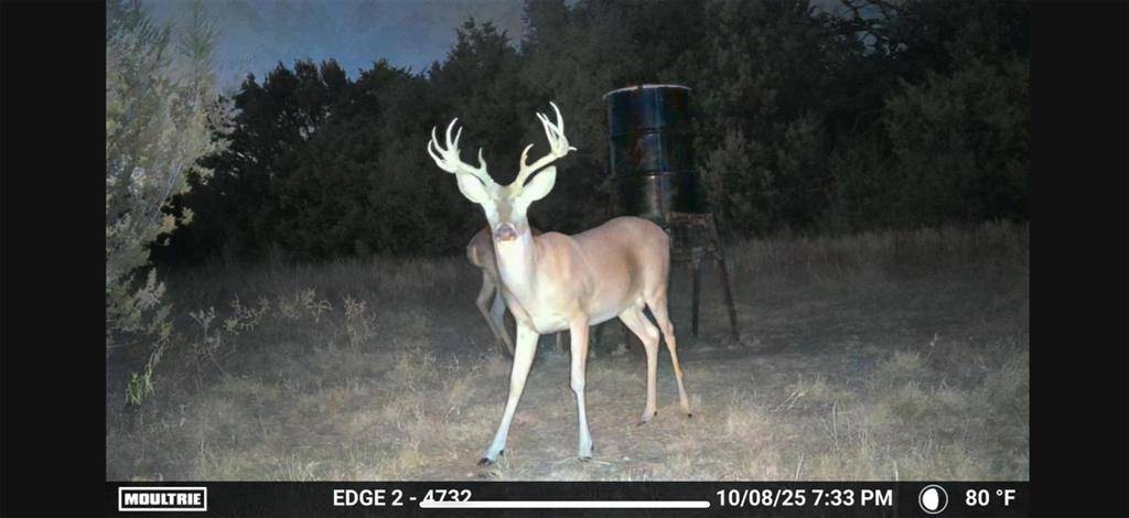 5106 Fm 51, Glen Rose, TX 76043