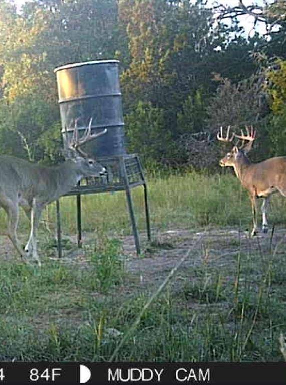 5106 Fm 51, Glen Rose, TX 76043