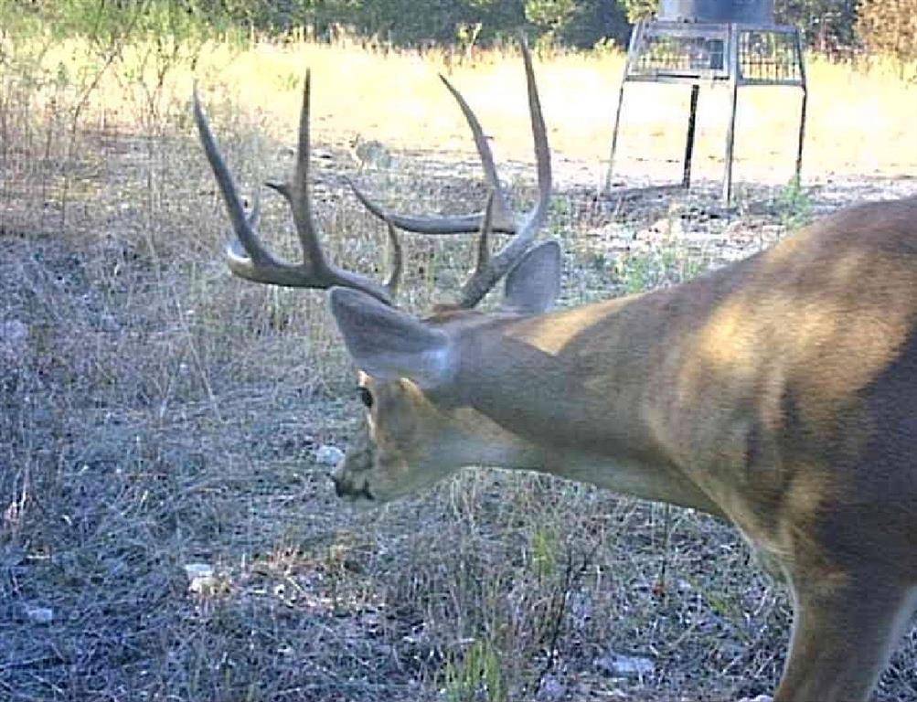 5106 Fm 51, Glen Rose, TX 76043