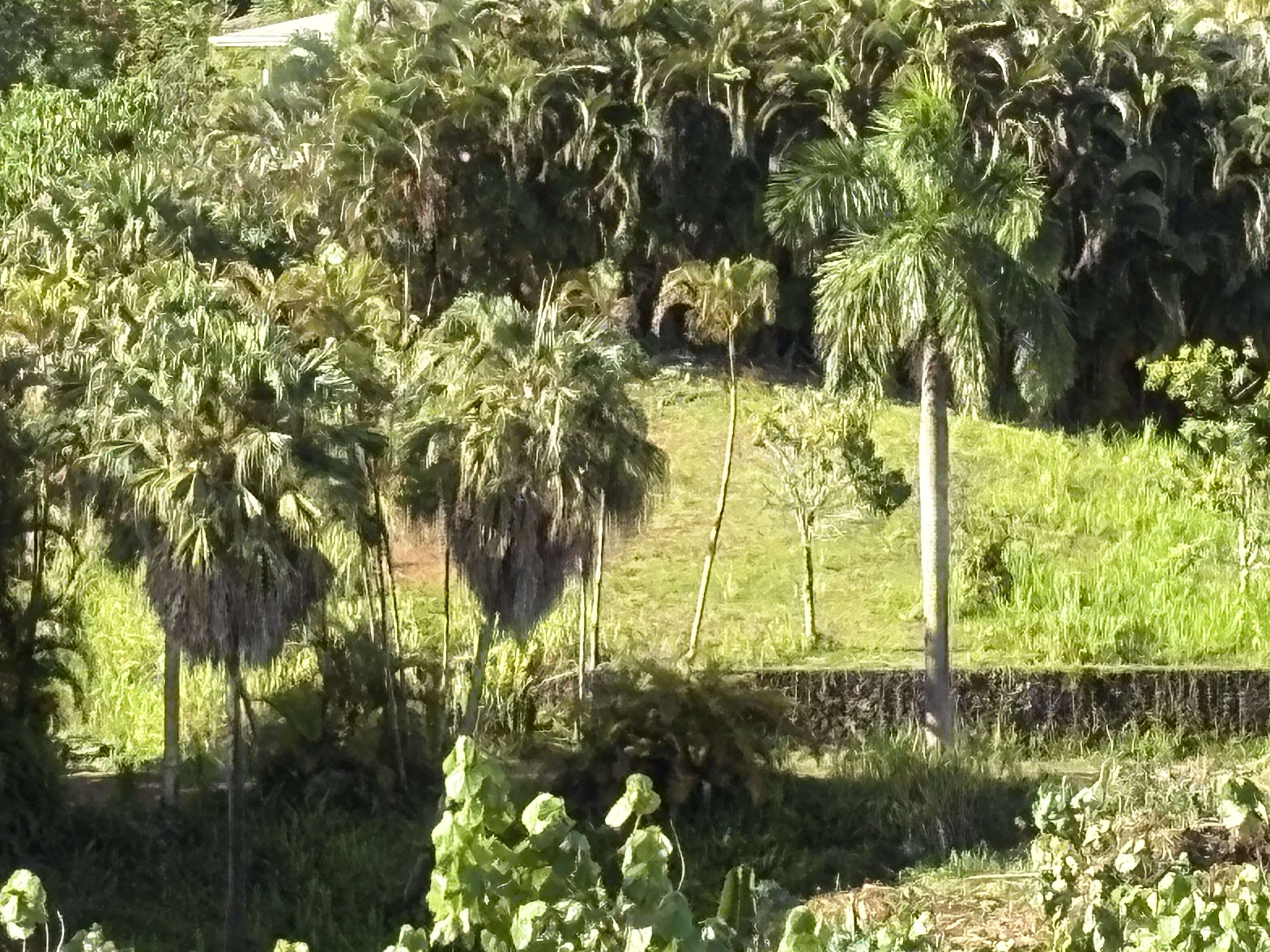 6631-A KIPAPA RD, Kapaa, HI 96746