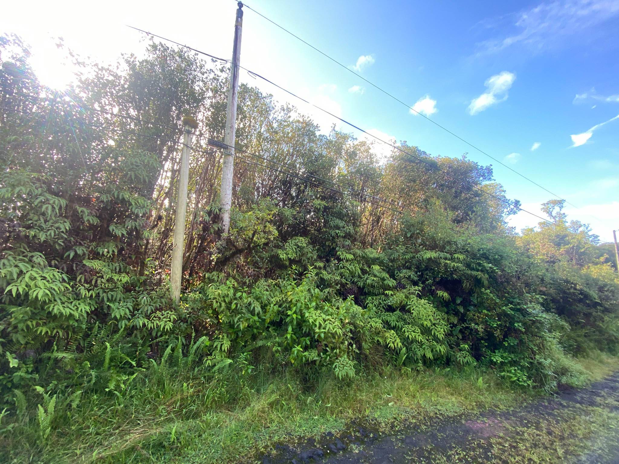 18-1259 KAUAI ST, Mountain View, HI 96771