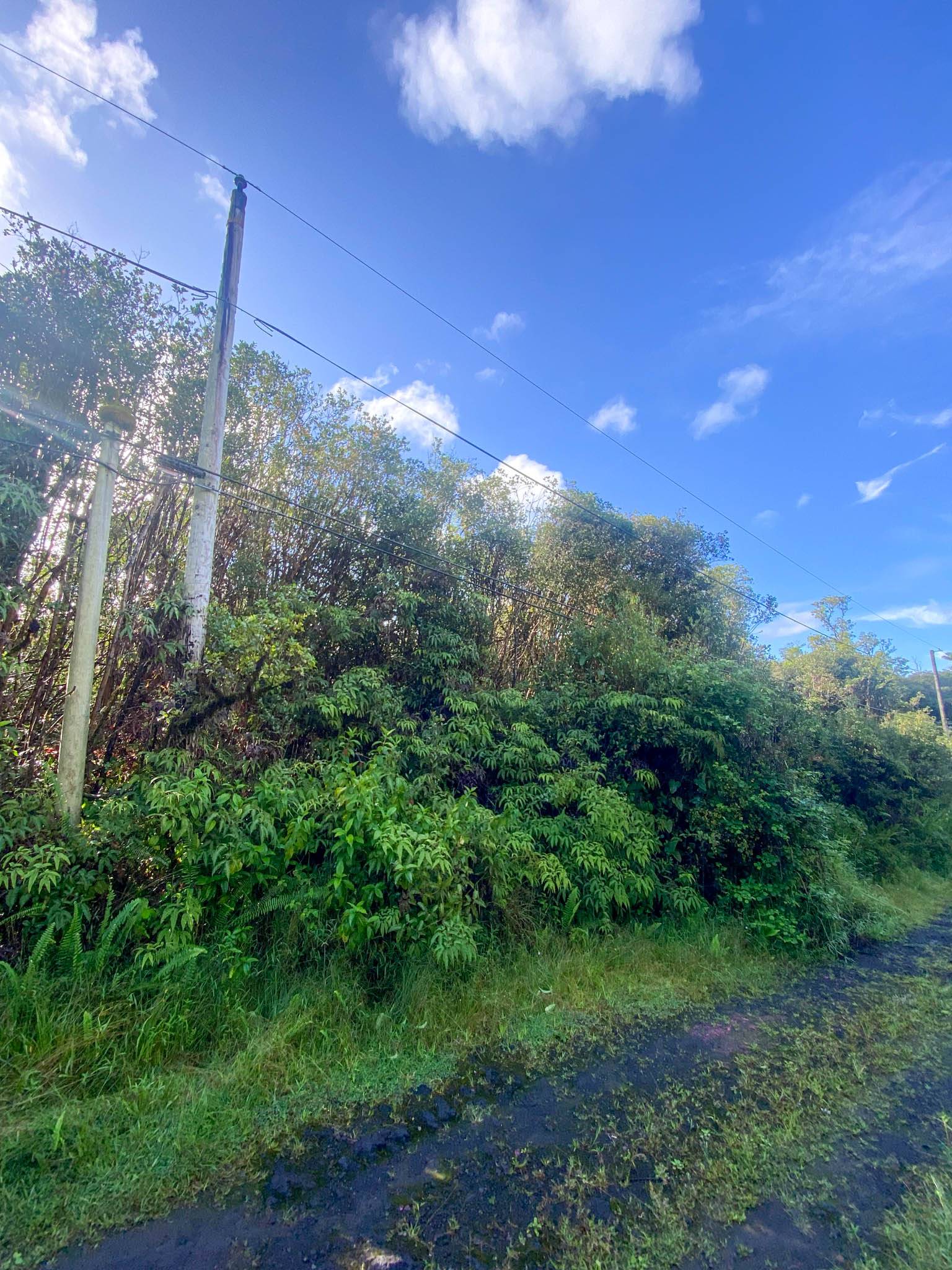 18-1259 KAUAI ST, Mountain View, HI 96771