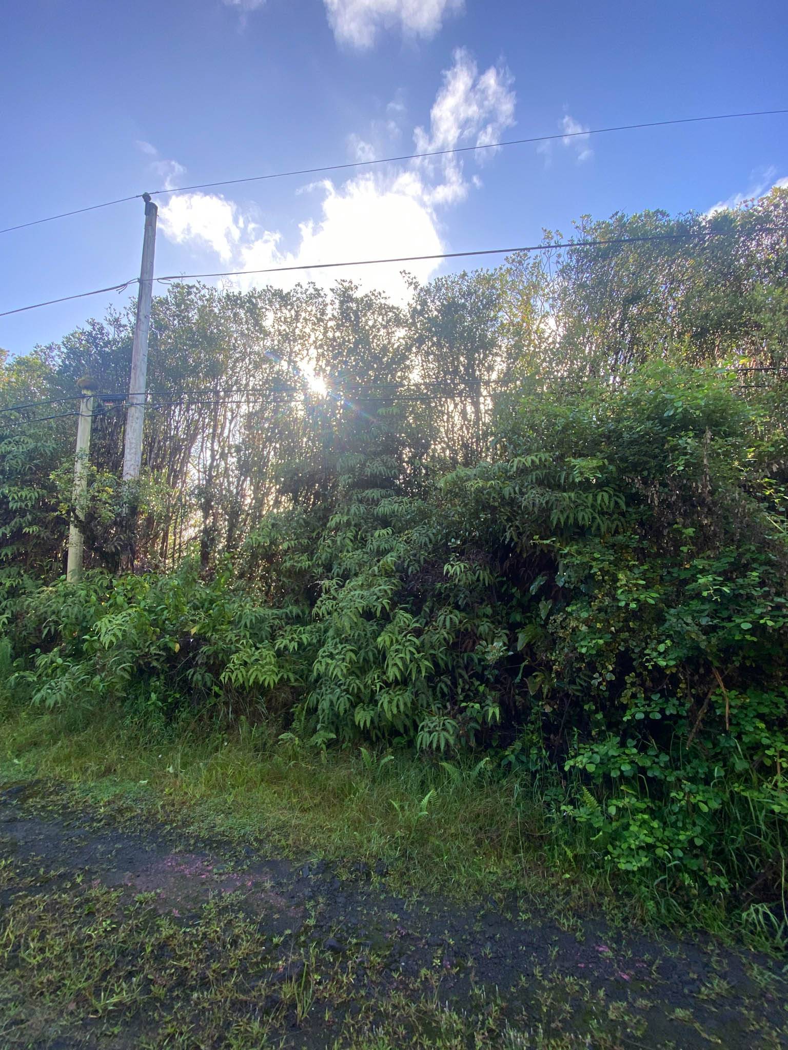 18-1259 KAUAI ST, Mountain View, HI 96771