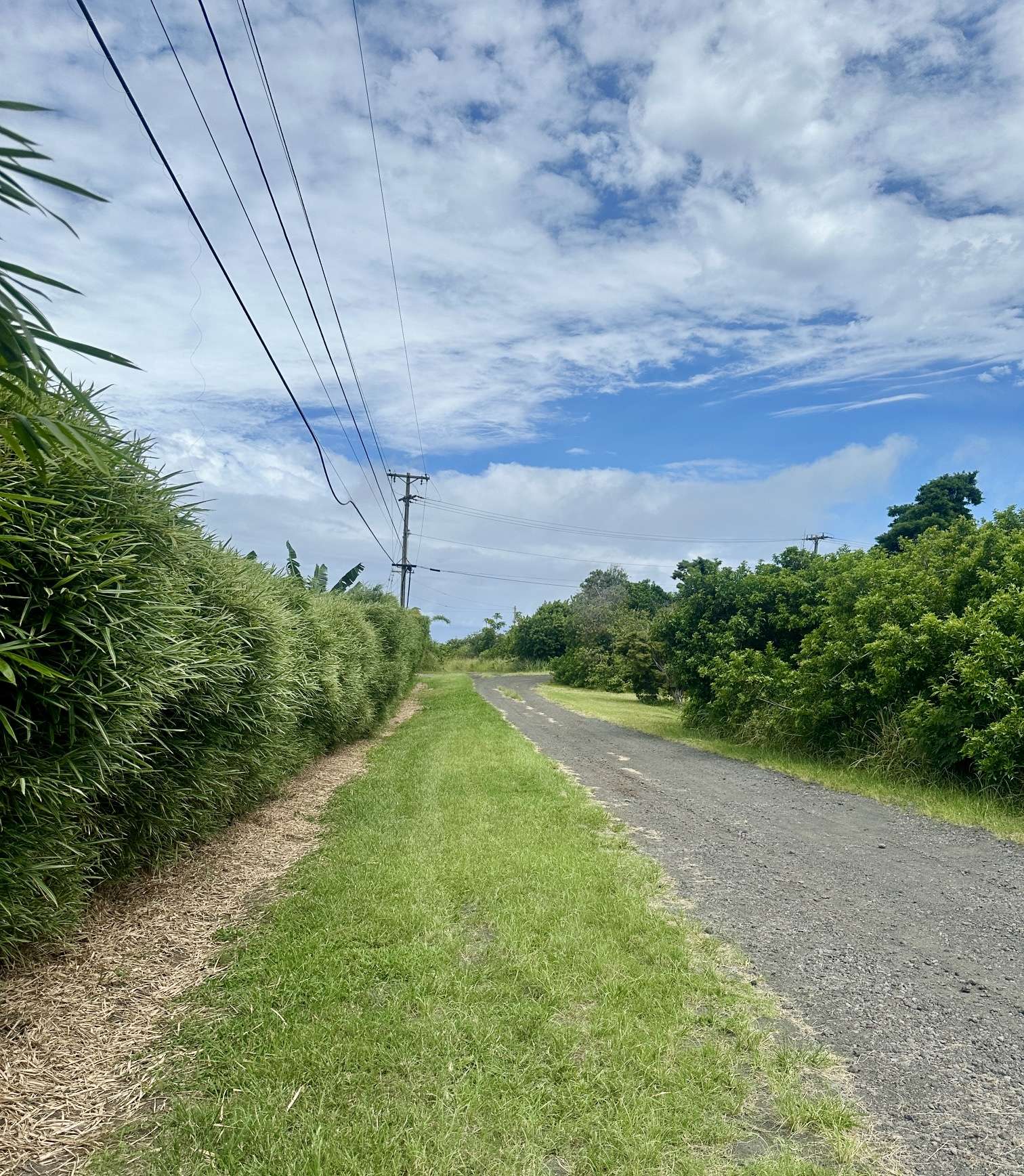 AMEPELA RD, Naalehu, HI 96772