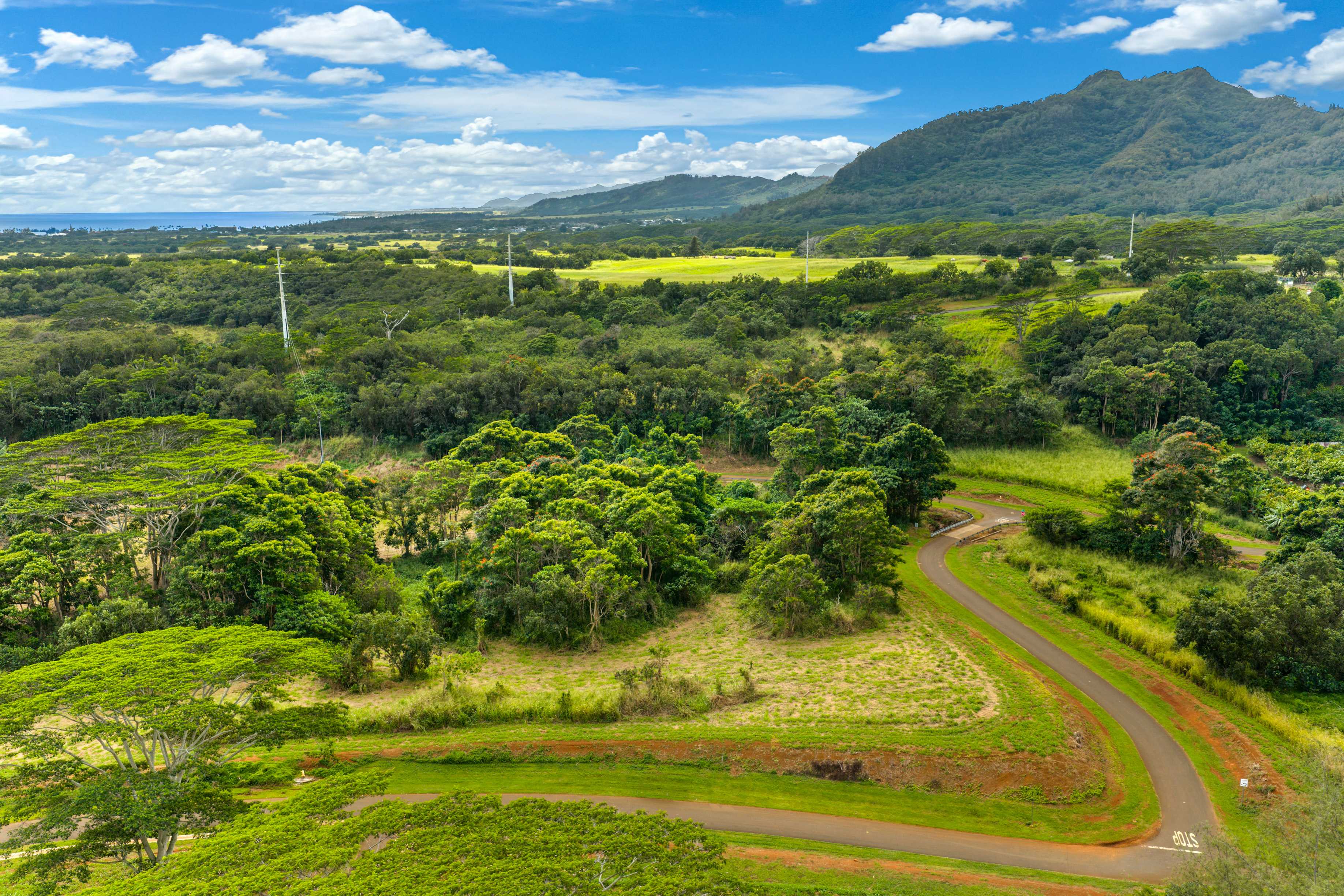 #19A, Kapaa, HI 96746