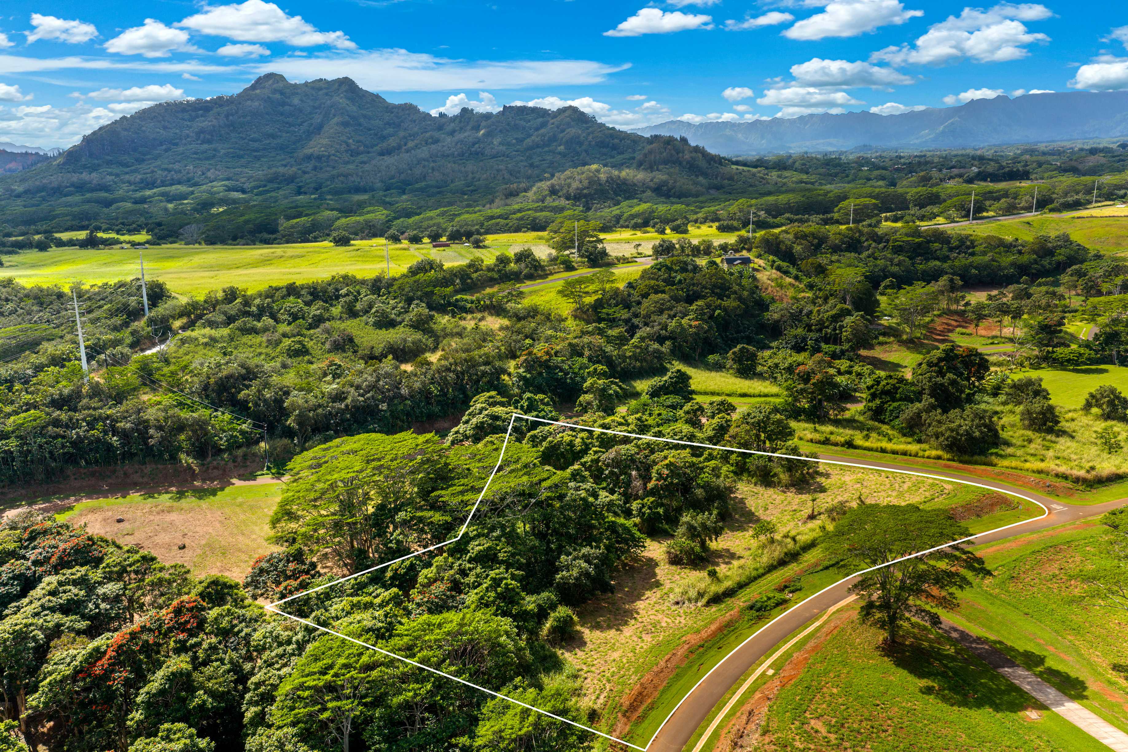 #19A, Kapaa, HI 96746