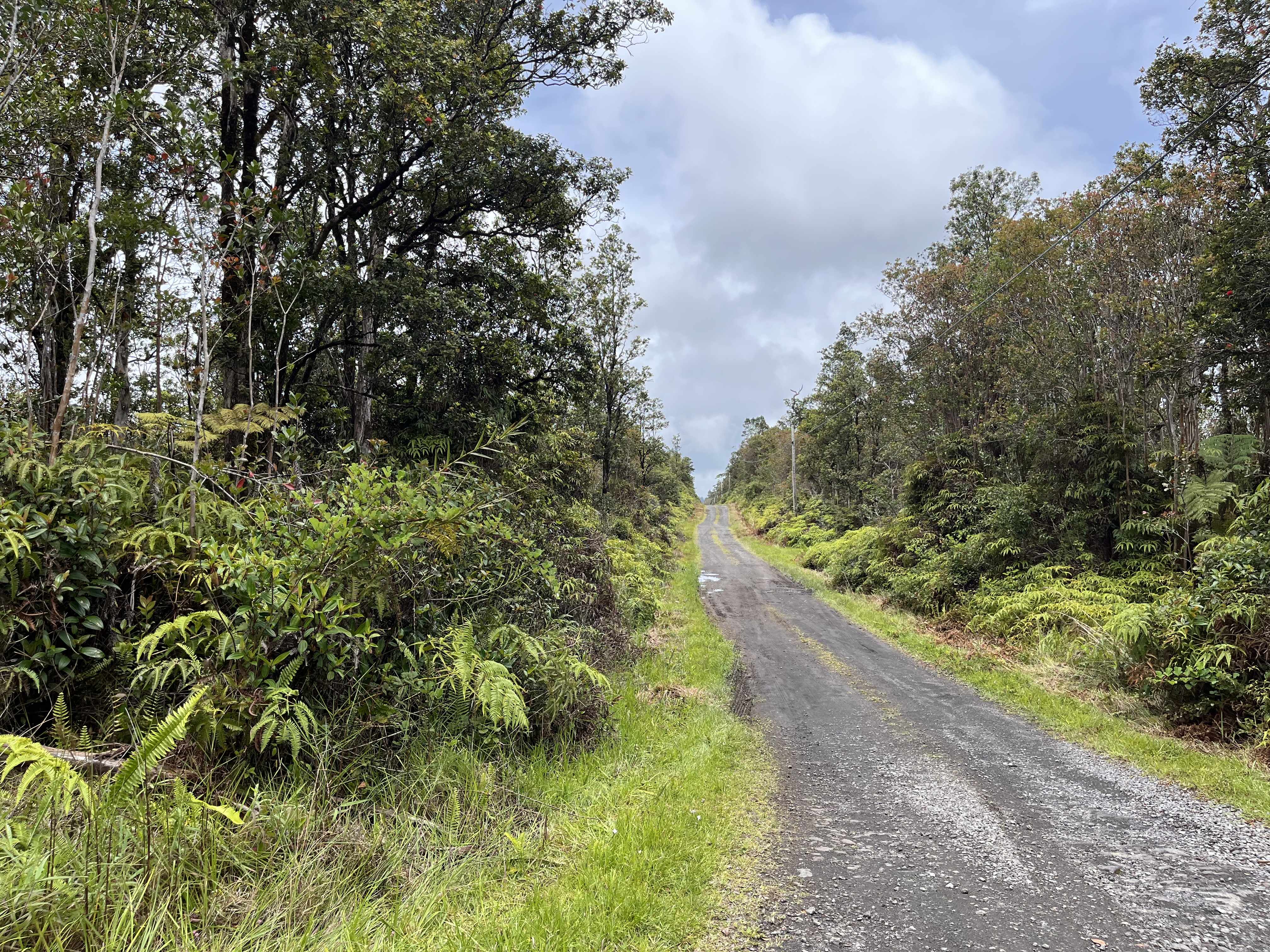ALA NAULANI RD, Volcano, HI 96785