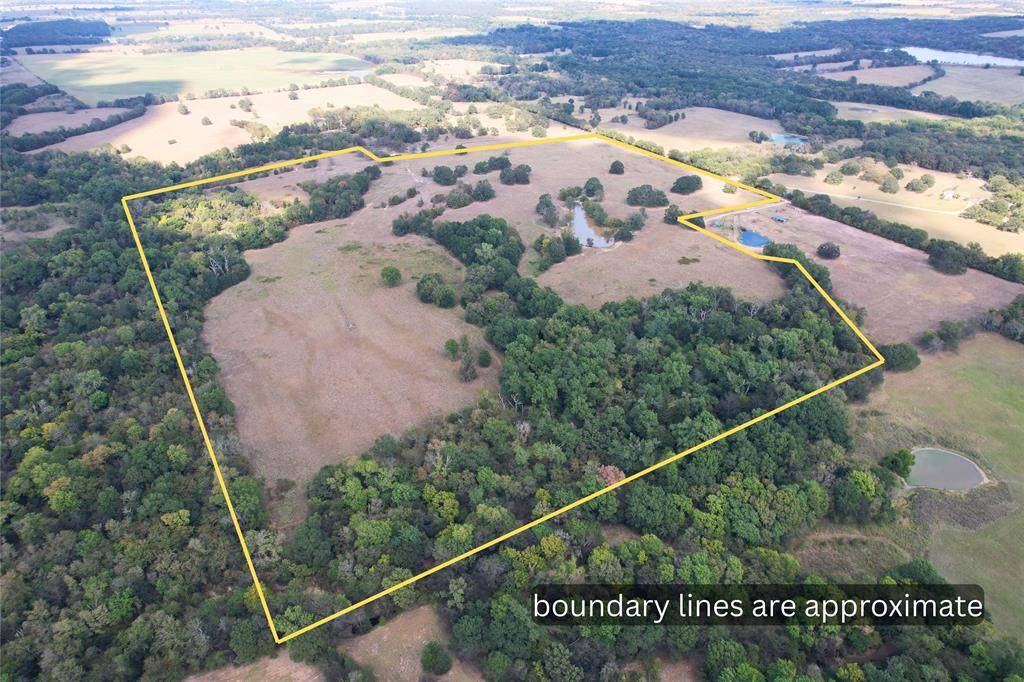 00000 County Road 1155, Brashear, TX 75420