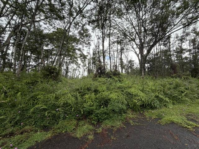 PUNA RD, Pahoa, HI 96778