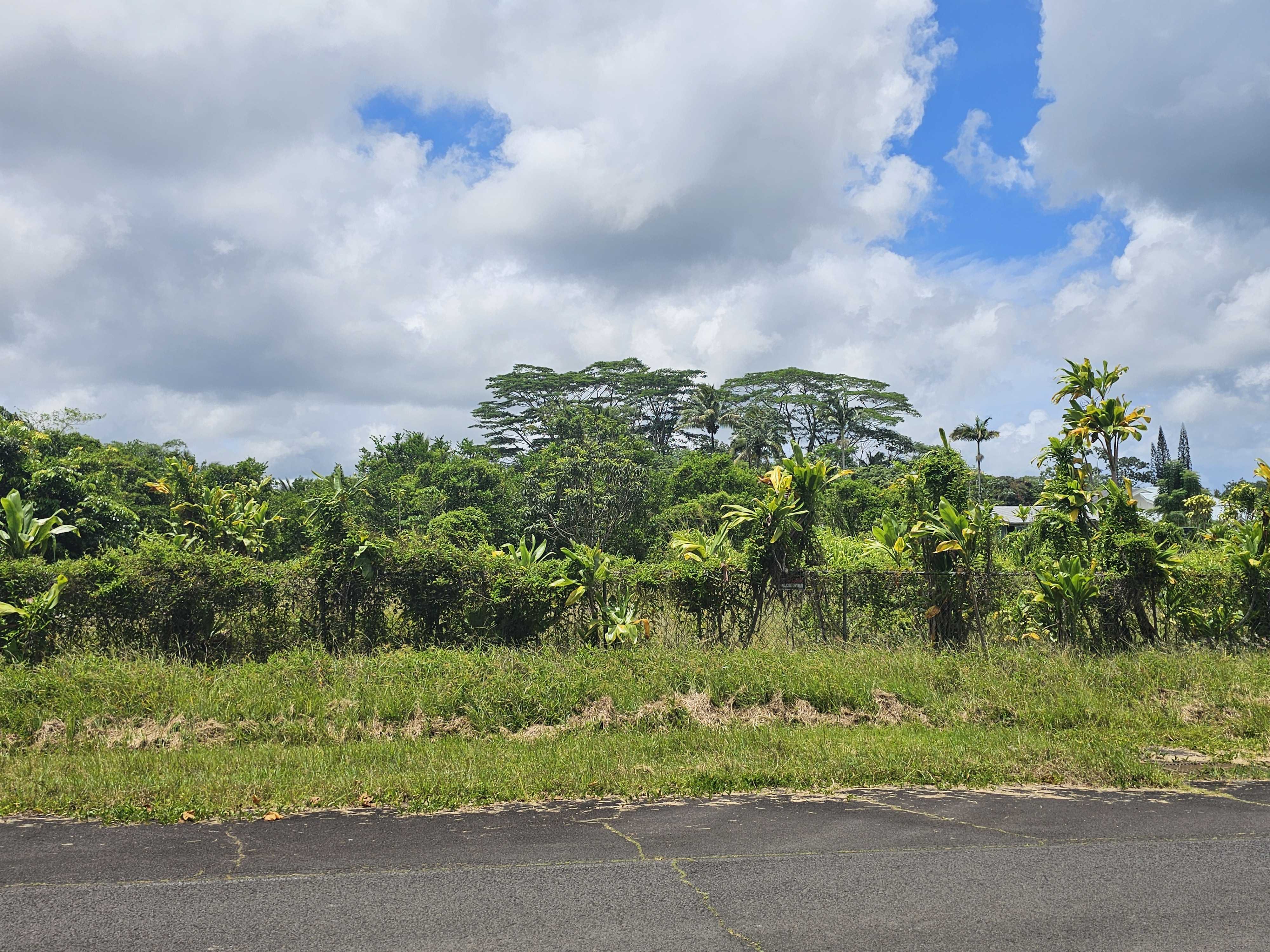 MEAULU ST, Keaau, HI 96749