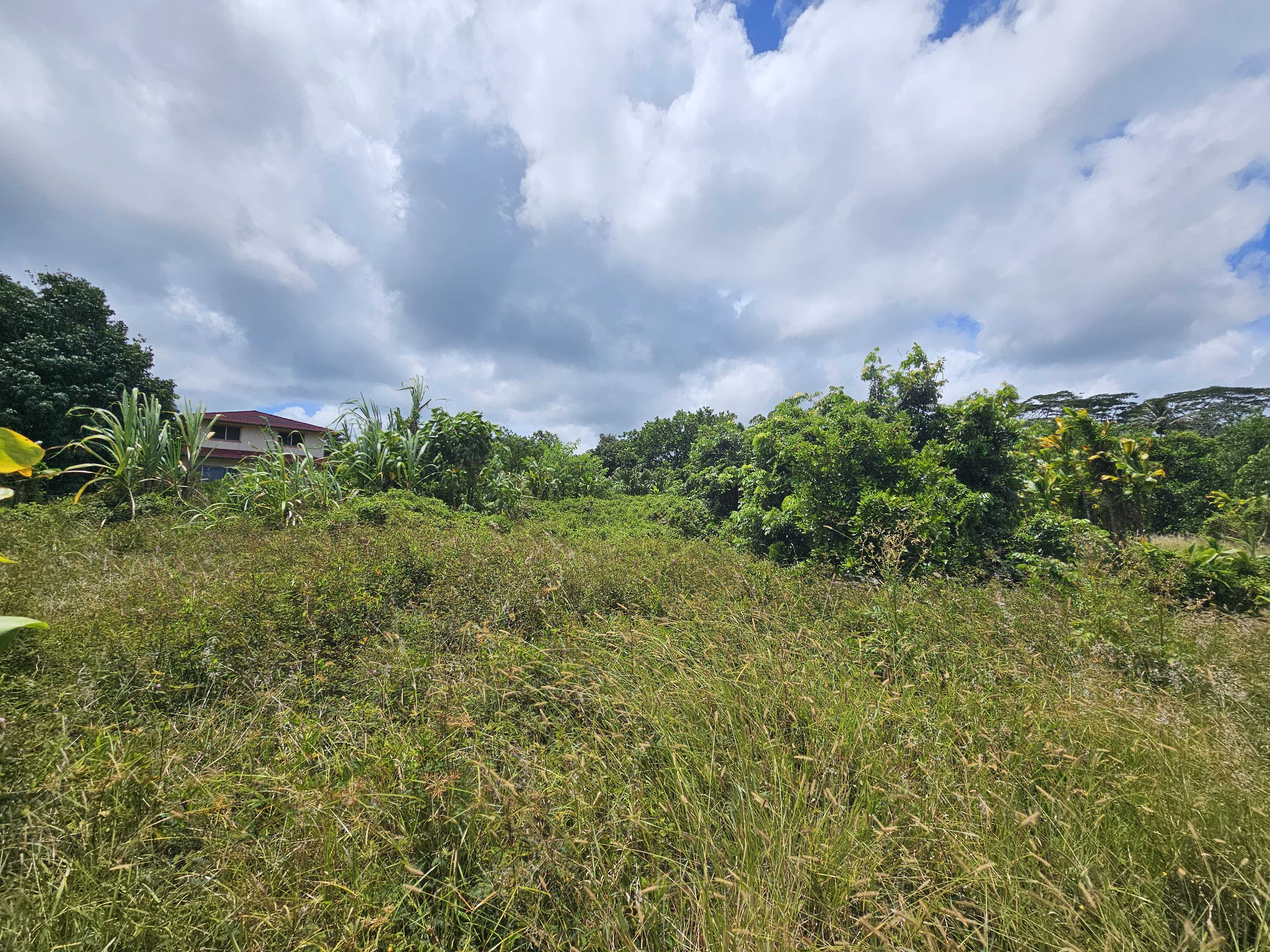 MEAULU ST, Keaau, HI 96749