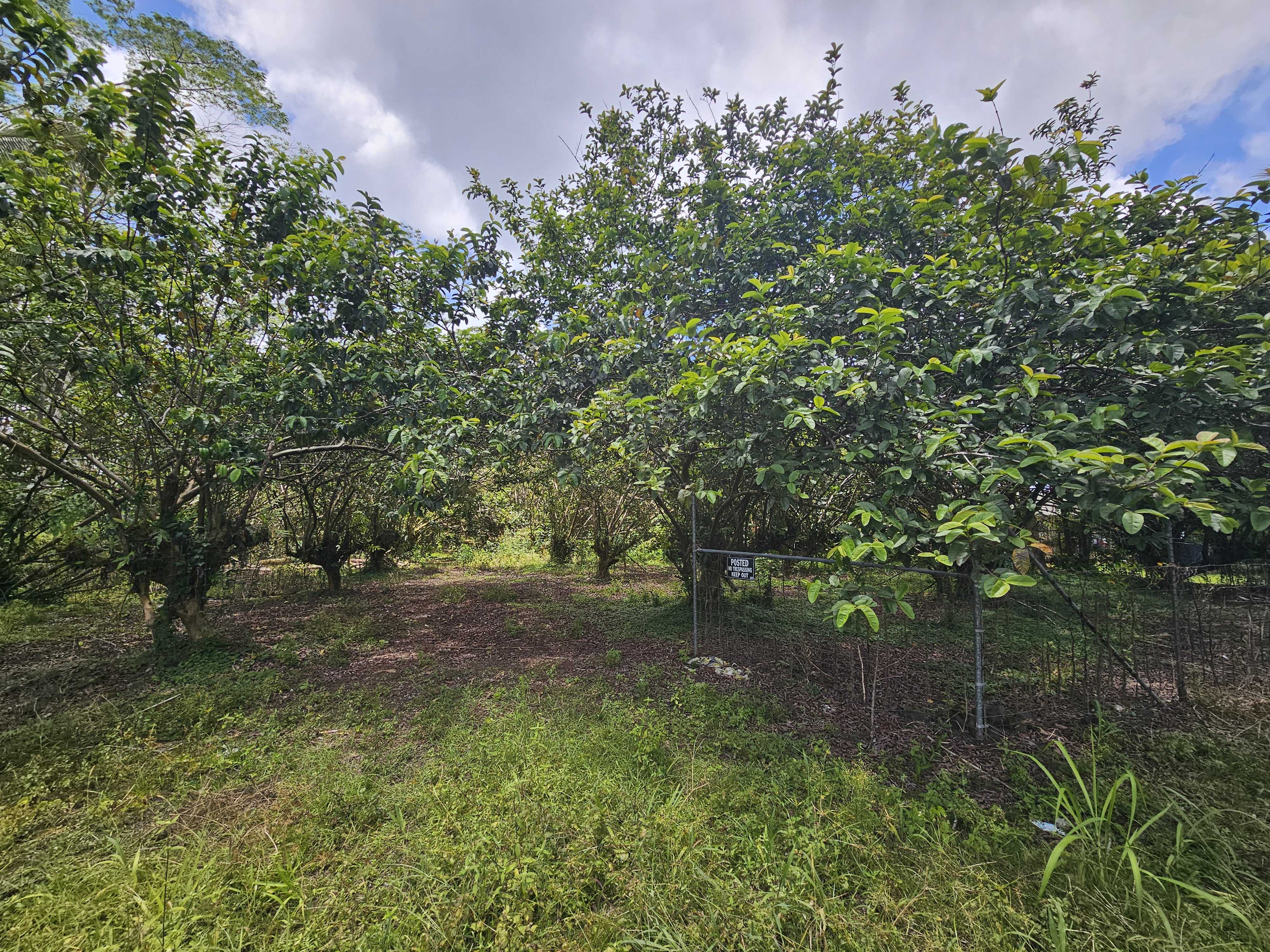 34TH AVE, Kurtistown, HI 96760