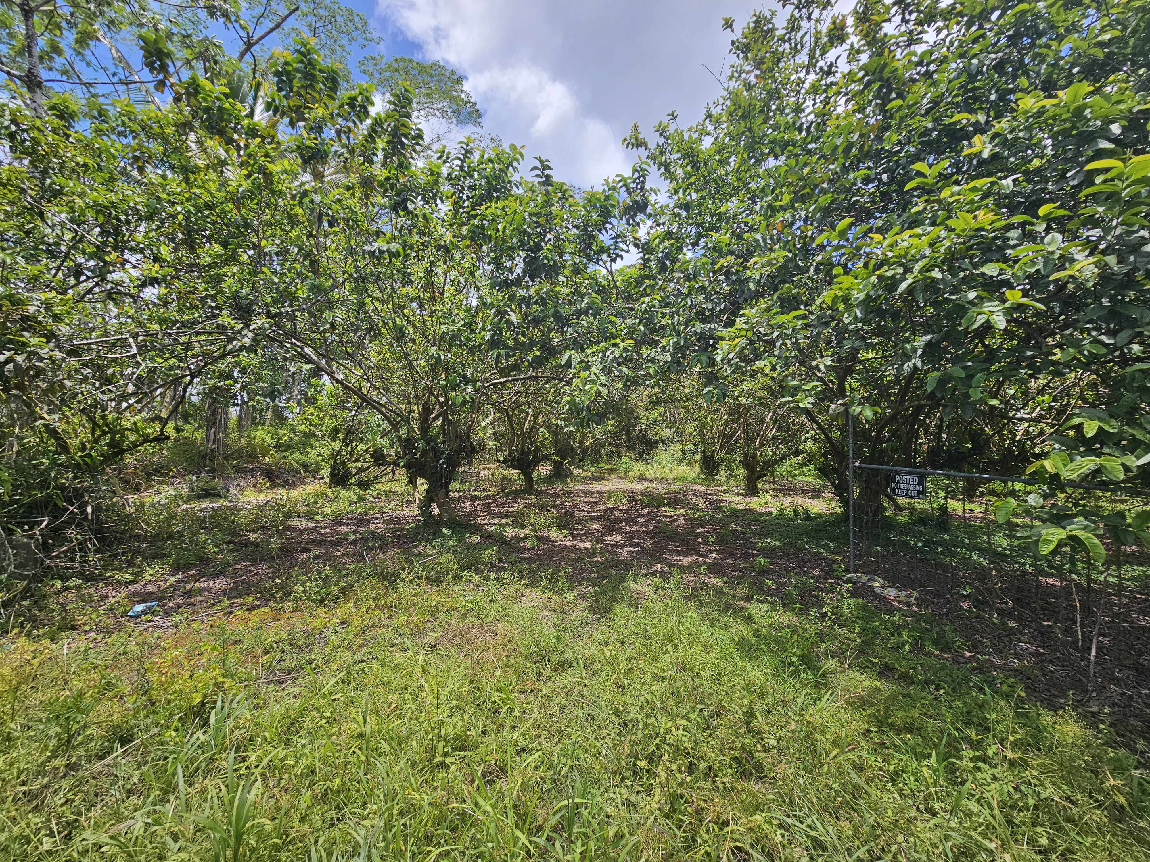 34TH AVE, Kurtistown, HI 96760