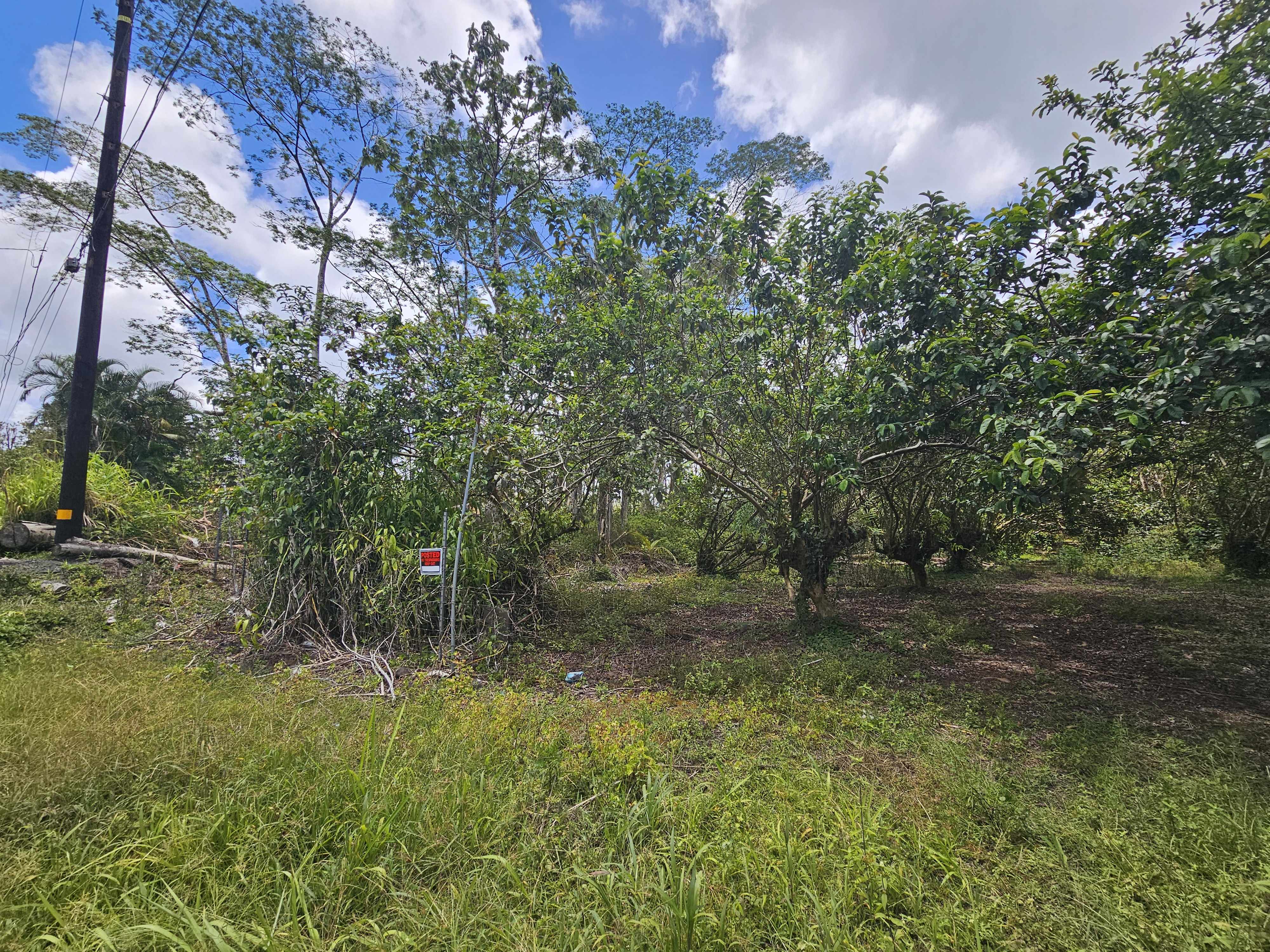 34TH AVE, Kurtistown, HI 96760