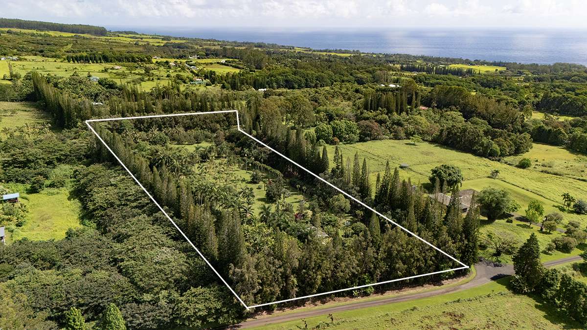 29-3707 KANNA ROAD, Hakalau, HI 96710