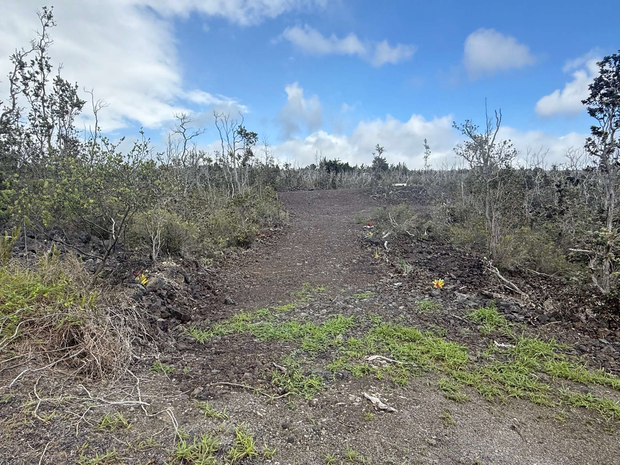 92-9132 TIKI LN, Ocean View, HI 96737