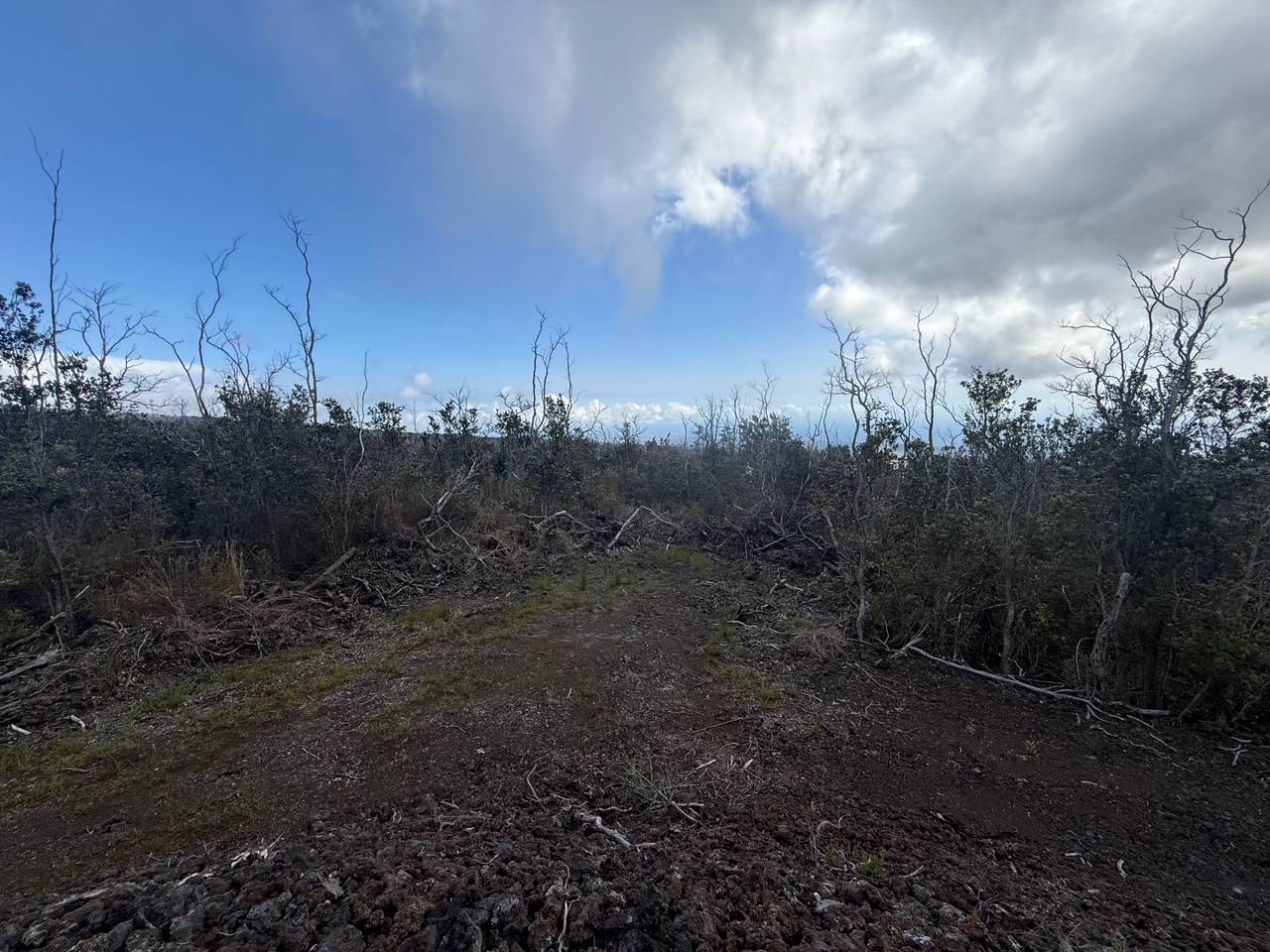 92-9132 TIKI LN, Ocean View, HI 96737