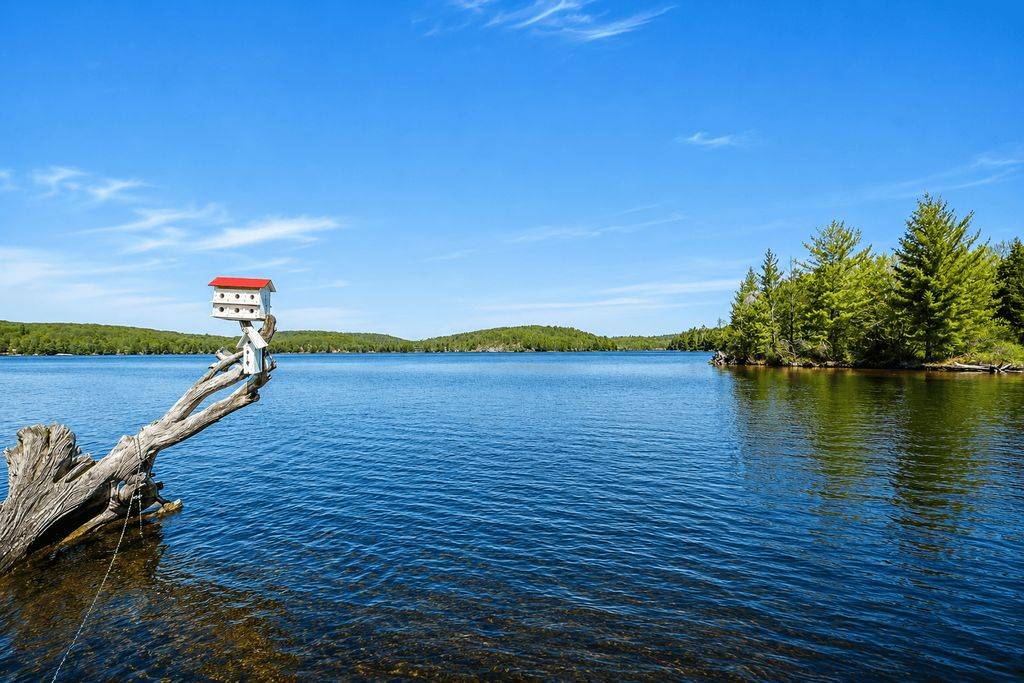 13603 Raven Lake - East Shore N/A, Algonquin Highlands, ON P0A 1E0