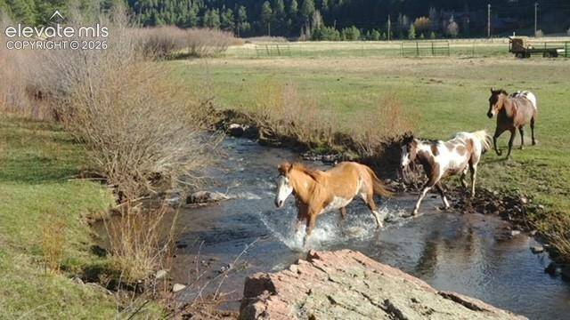 2401 Lakemoor DR, Florissant, CO 80816