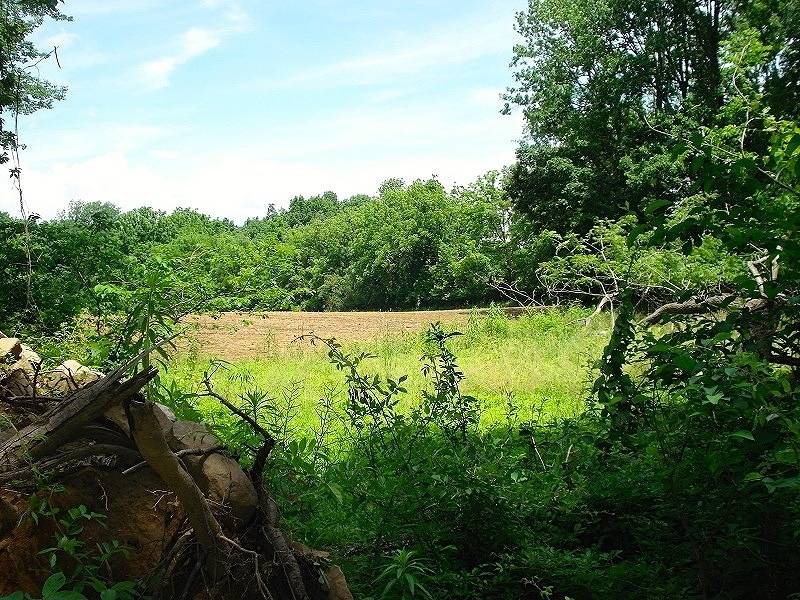 0 Mellicks Woods Rd, Pohatcong Twp., NJ 08804