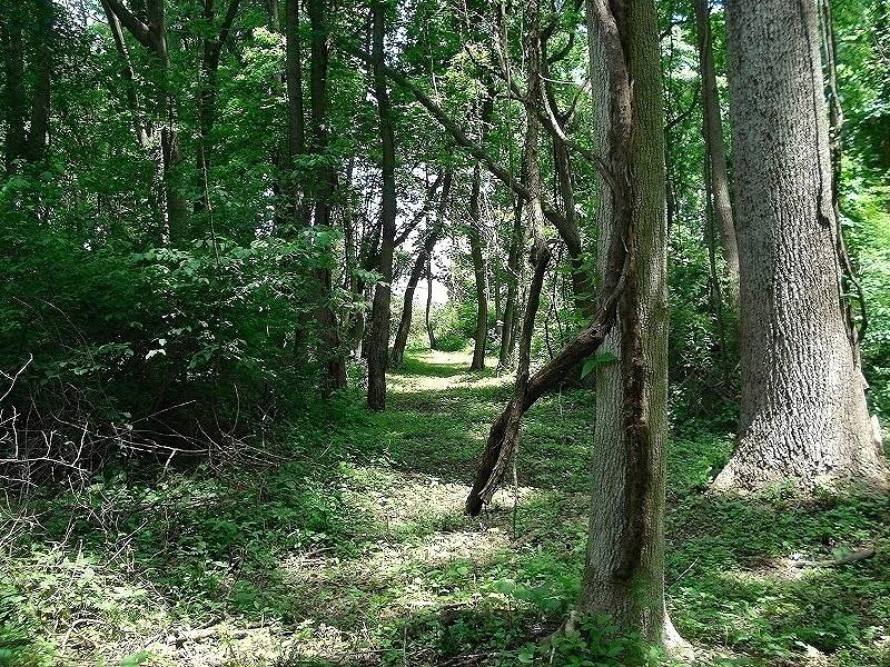 0 Mellicks Woods Rd, Pohatcong Twp., NJ 08804