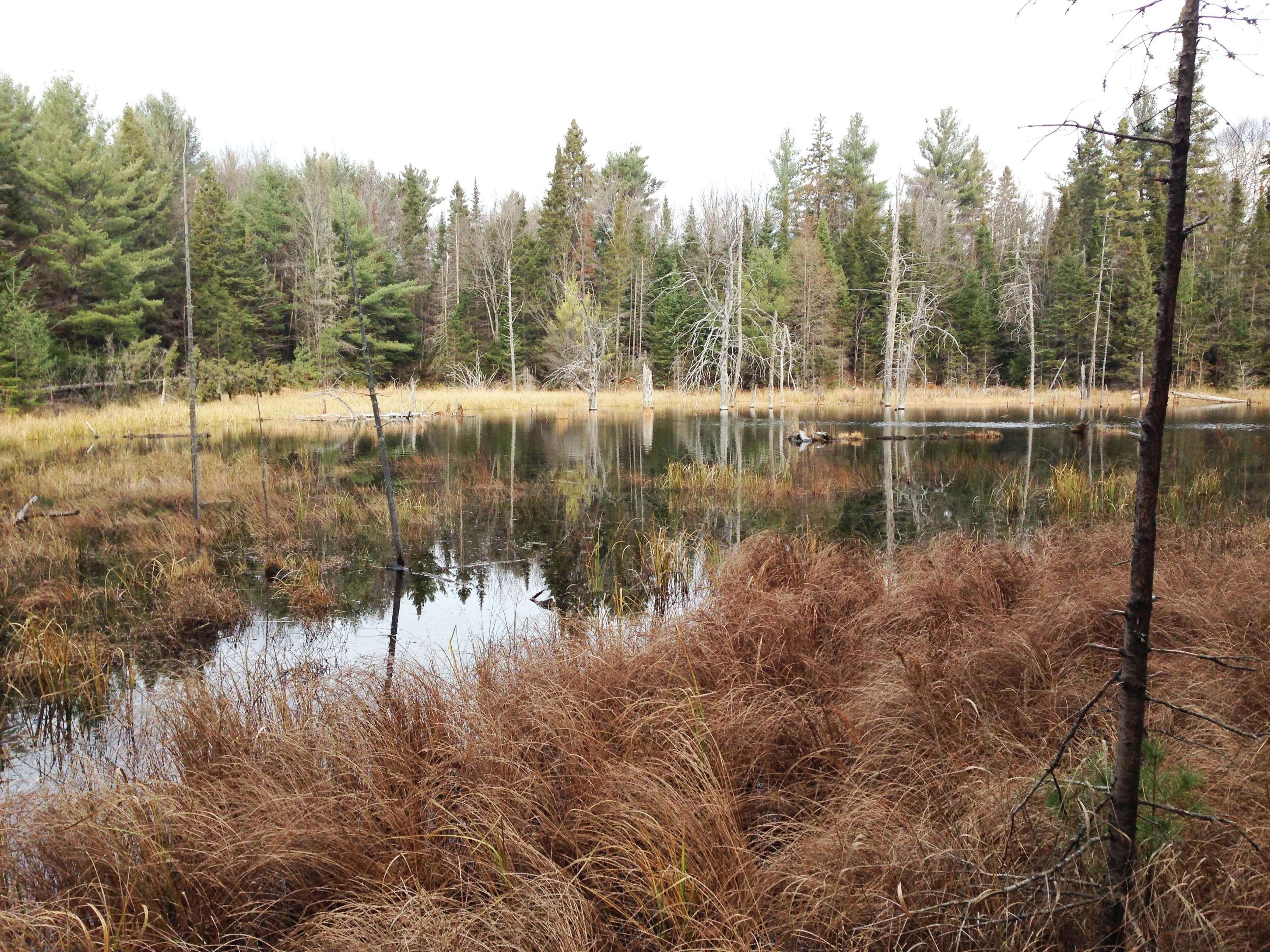 Lot 6 Con 5 N/A, Magnetawan, ON P0A 1P0