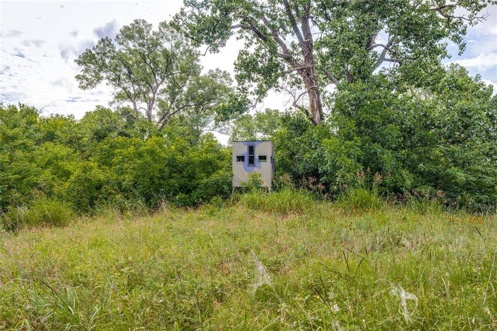 10092 W FM 1753, Savoy, TX 76479