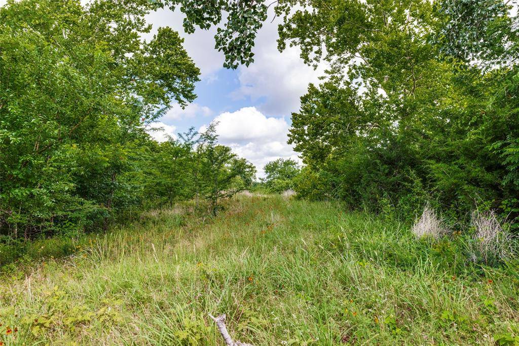 10092 W FM 1753, Savoy, TX 76479