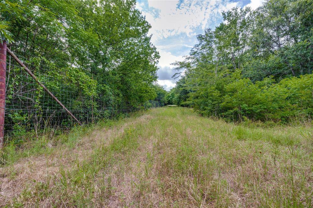 10092 W FM 1753, Savoy, TX 76479