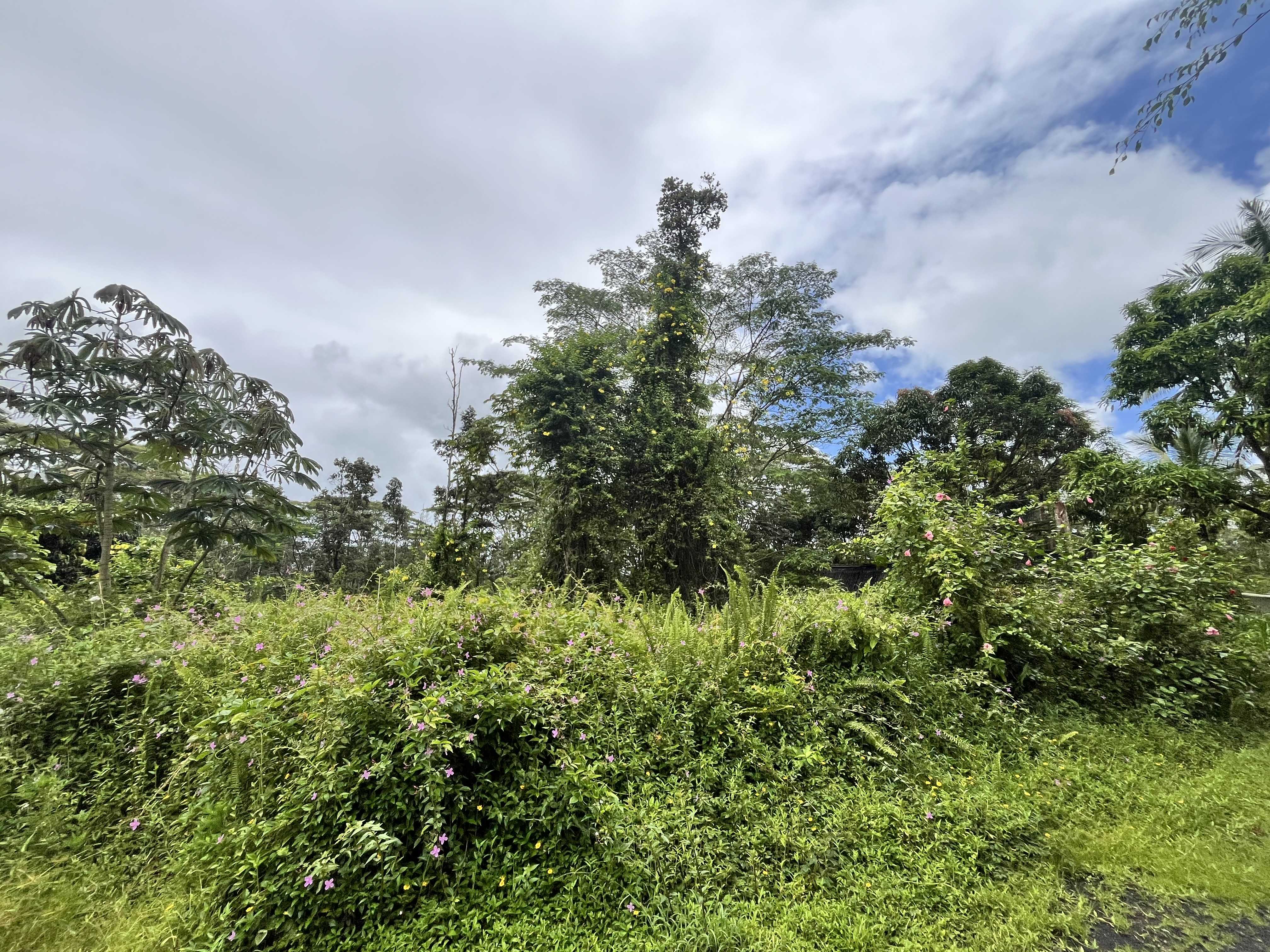 LEHUA RD, Pahoa, HI 96778