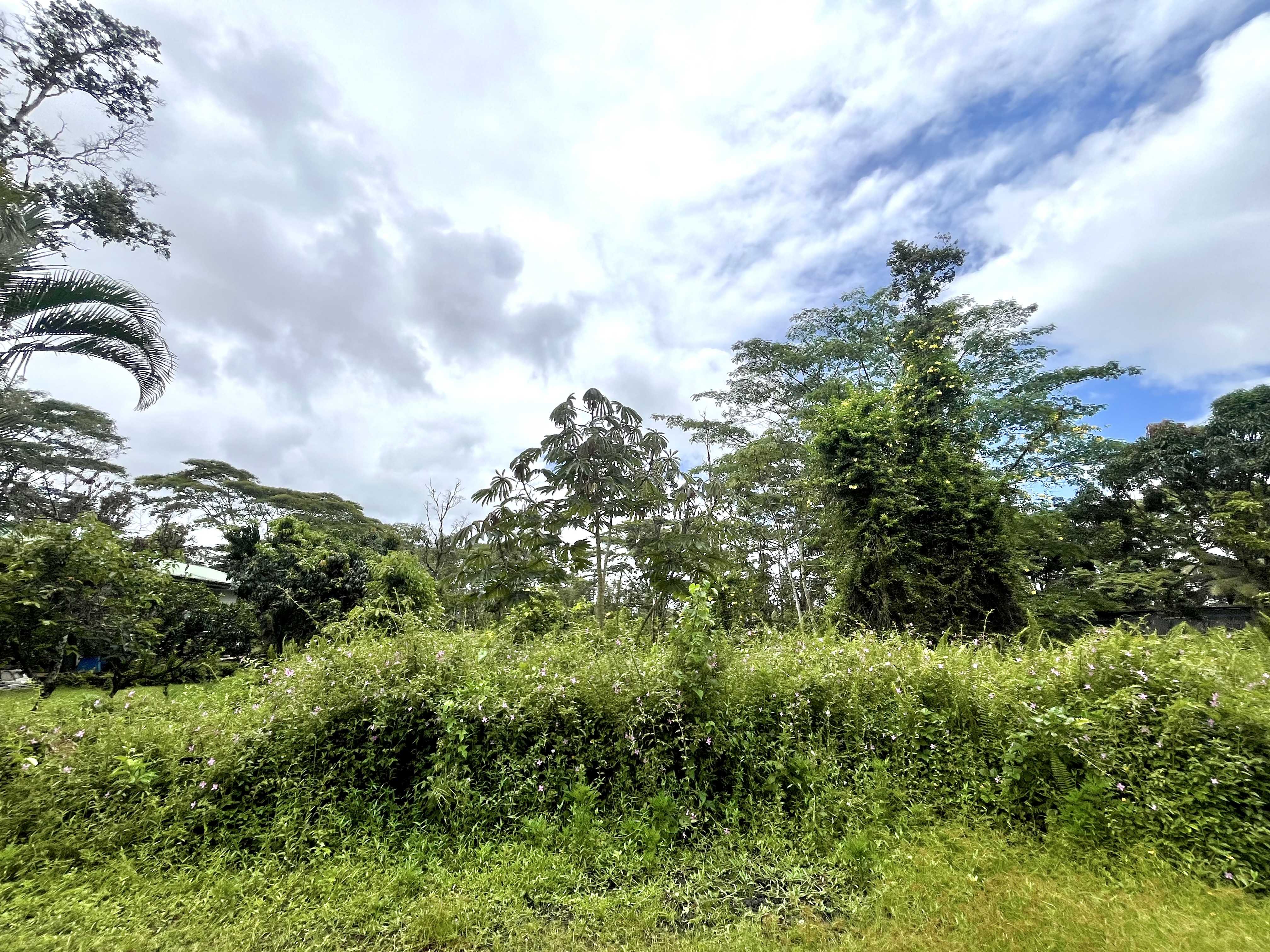 LEHUA RD, Pahoa, HI 96778