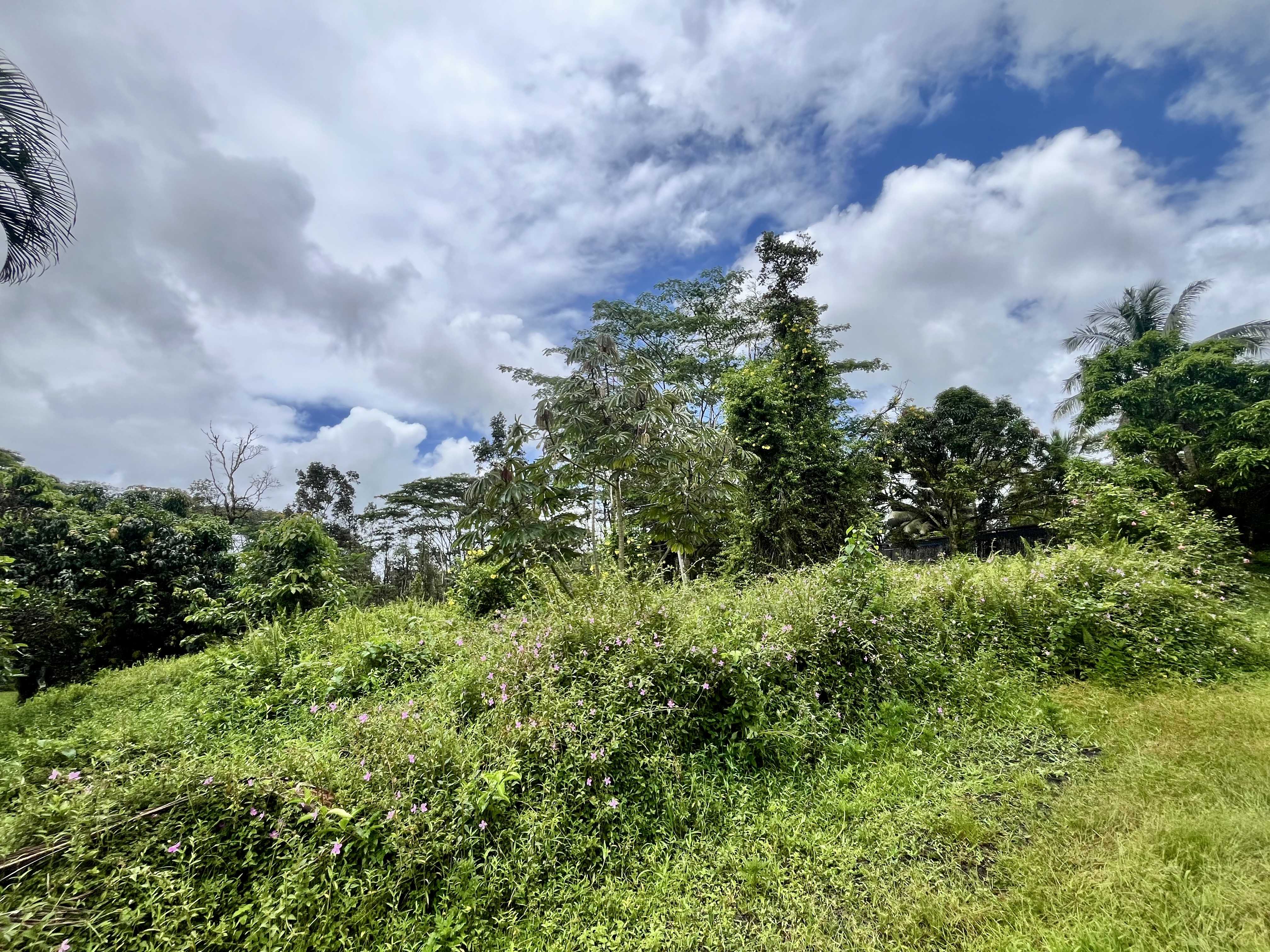 LEHUA RD, Pahoa, HI 96778